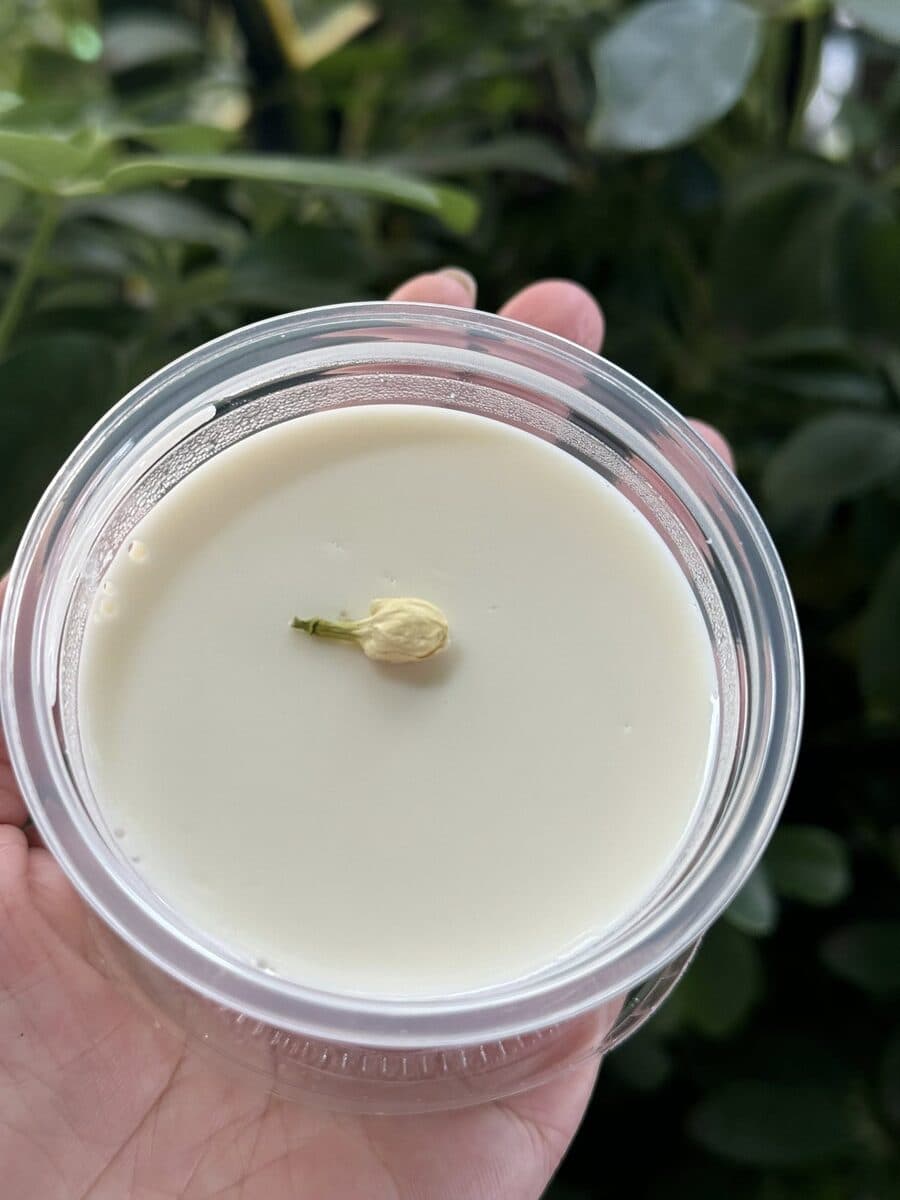 Upside-Down Yogurt